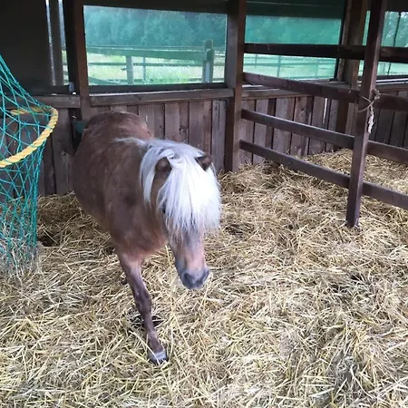 Apartman Neu! Moderne In Boenen