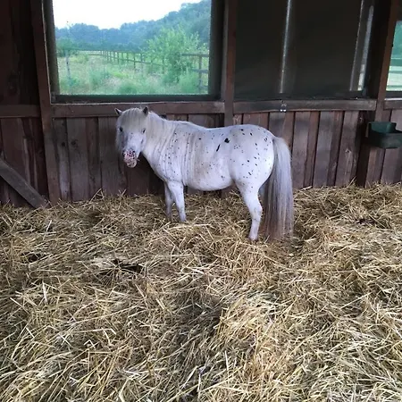 Apartman Neu! Moderne In Boenen *