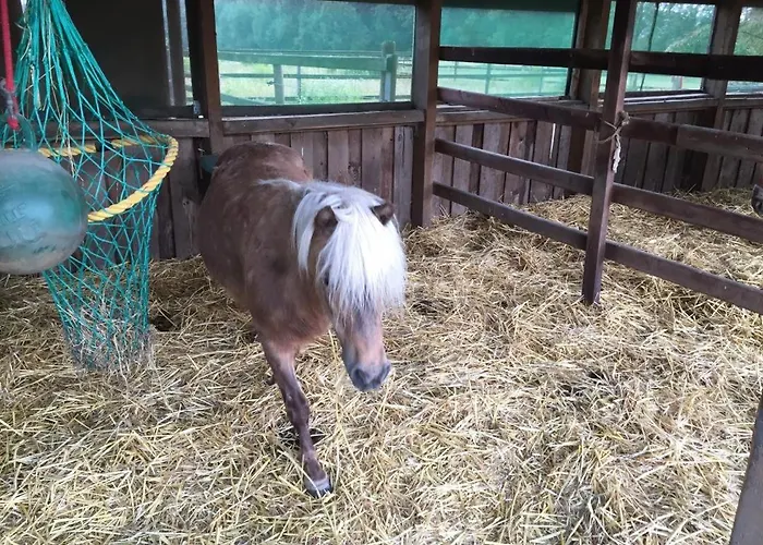 Daire Neu! Moderne In Boenen