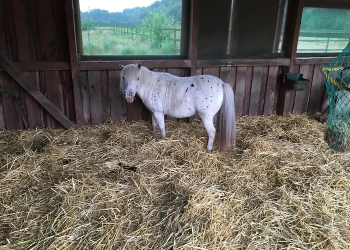 Daire Neu! Moderne In Boenen *